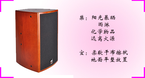 定製草莓免费视频音響設備 當然找專業的廠家羅
