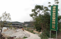 茂名展示廳音響工程案例-【草莓视频免费下载观看】